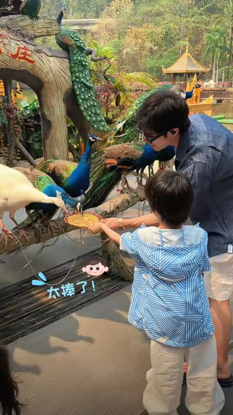 麦迪娜穿泳装美呆了4岁女儿颜值真的高j9国际站登录姜潮一家人在云南旅游！(图11)